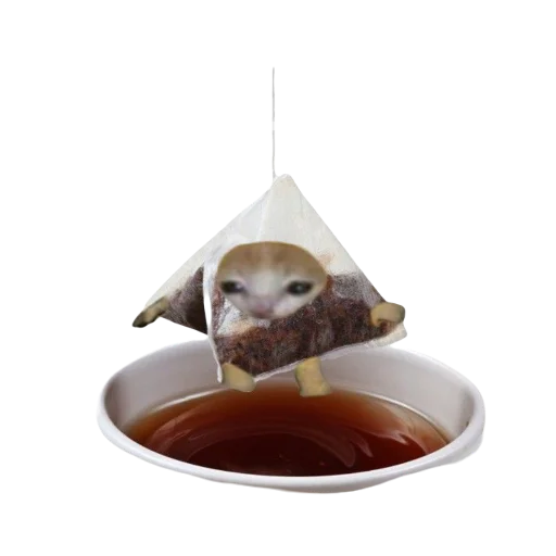 ☕️ Стикер «Catzzz!» для Telegram