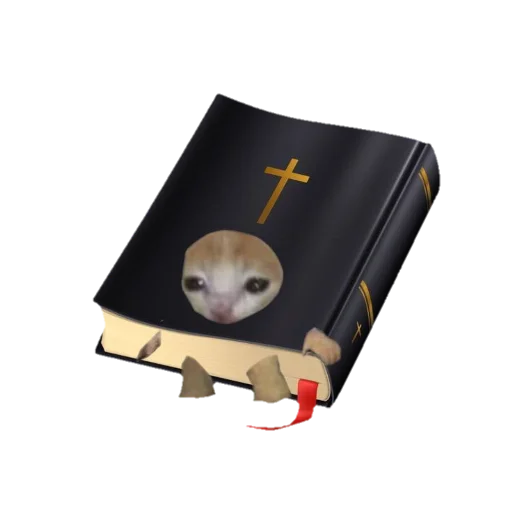 📖 Стикер «Catzzz!» для Telegram