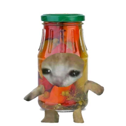 🫙 Стикер «Catzzz!» для Telegram