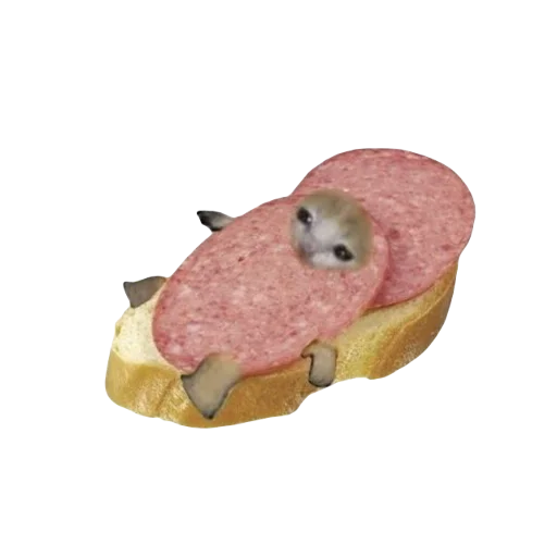 🥪 Стикер «Catzzz!» для Telegram