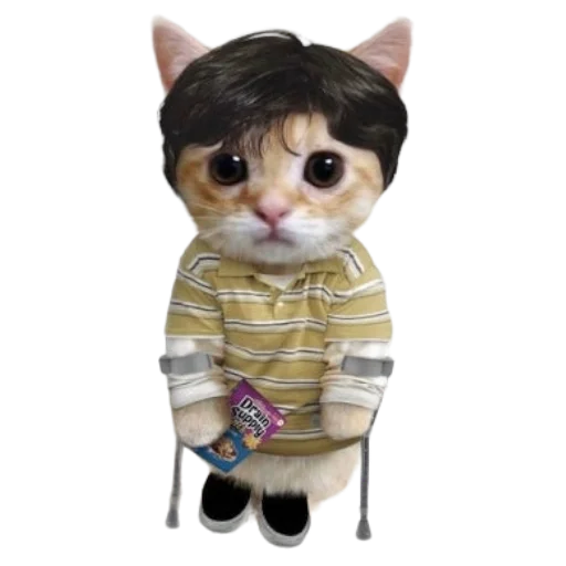 🩼 Стикер «Catzzz!» для Telegram
