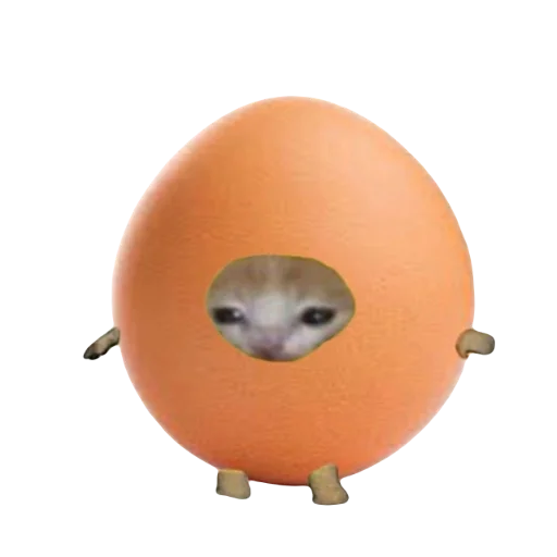 🥚 Стикер «Catzzz!» для Telegram