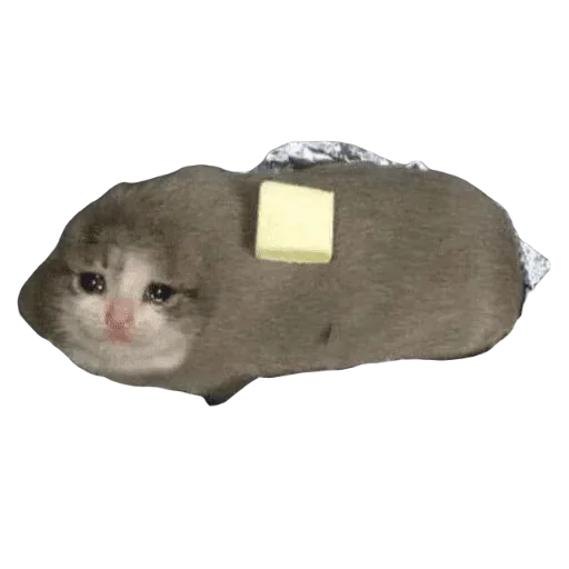 😭 Стикер «Catzzz!» для Telegram