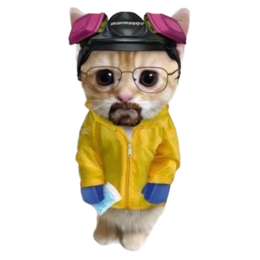 🧊 Стикер «Catzzz!» для Telegram