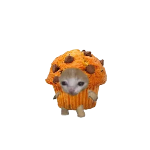 🧁 Стикер «Catzzz!» для Telegram