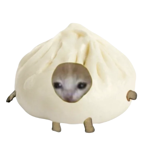 🥟 Стикер «Catzzz!» для Telegram