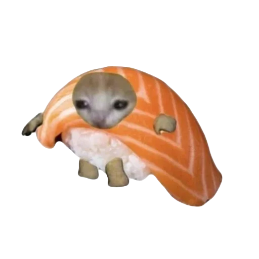 🍣 Стикер «Catzzz!» для Telegram