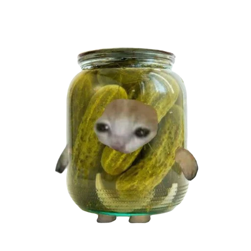 🫙 Стикер «Catzzz!» для Telegram