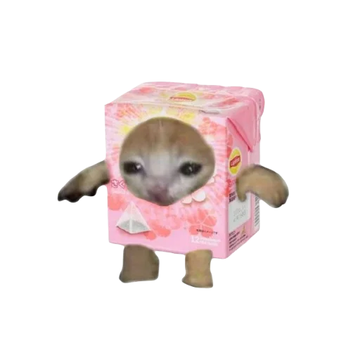 ☕ Стикер «Catzzz!» для Telegram