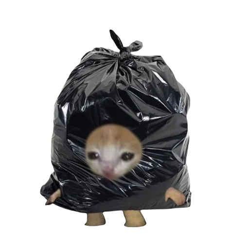 🗑️ Стикер «Catzzz!» для Telegram