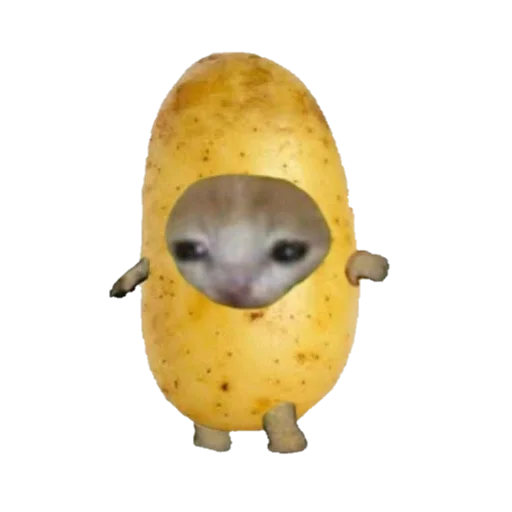 🥔 Стикер «Catzzz!» для Telegram