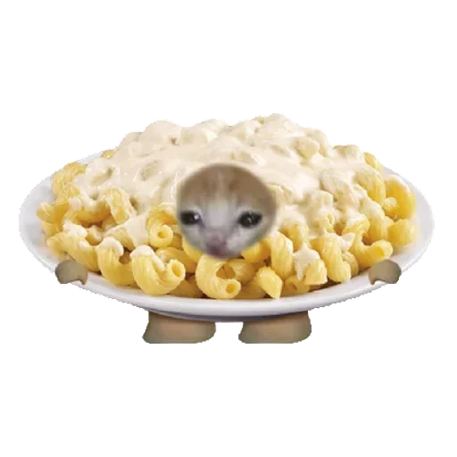 🍜 Стикер «Catzzz!» для Telegram