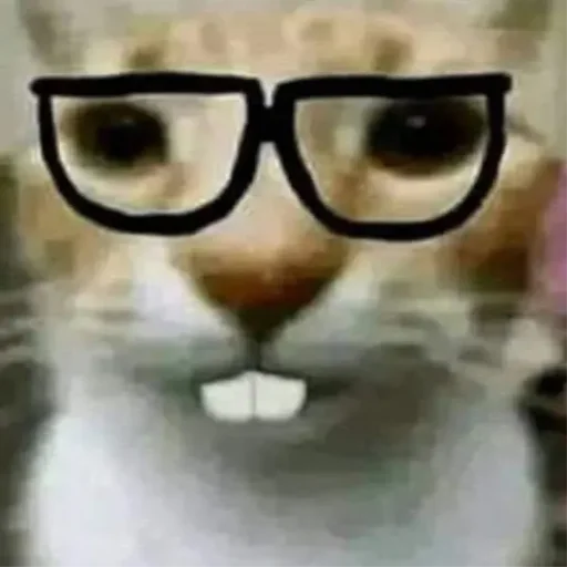 🤓 Стикер «Catzzz!» для Telegram