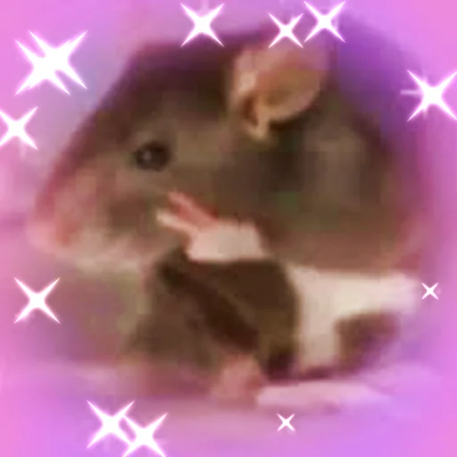 ✌️ Стикер «Cute Copies» для Telegram