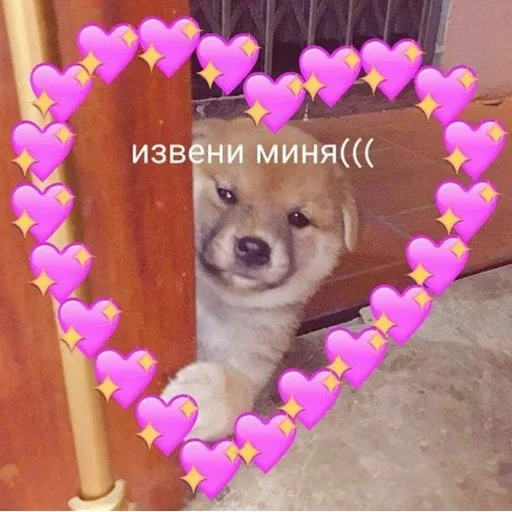 🥺 Стикер «cute dogs meme» для Telegram