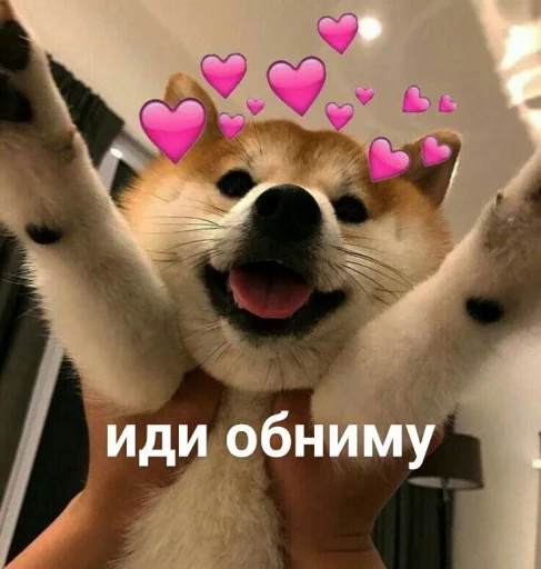🤗 Стикер «cute dogs meme» для Telegram