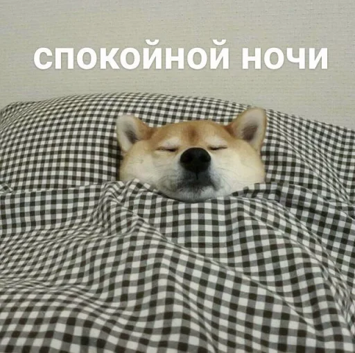 💤 Стикер «cute dogs meme» для Telegram