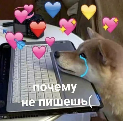 😭 Стикер «cute dogs meme» для Telegram