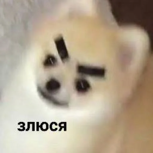 😠 Стикер «cute dogs meme» для Telegram