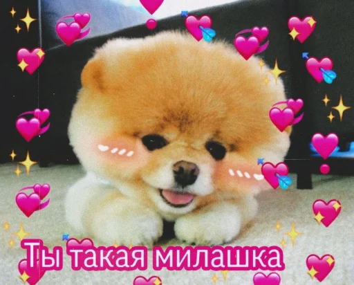 😍 Стикер «cute dogs meme» для Telegram