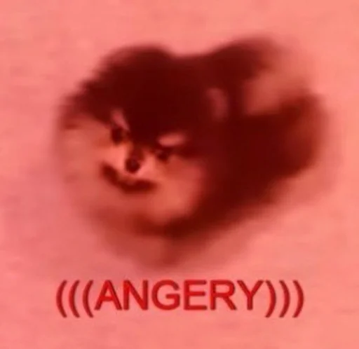 🤬 Стикер «cute dogs meme» для Telegram