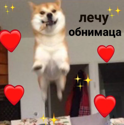 🕊 Стикер «cute dogs meme» для Telegram