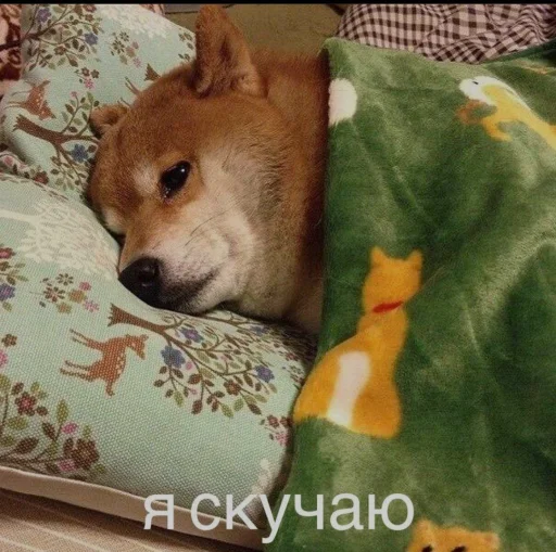 😥 Стикер «cute dogs meme» для Telegram