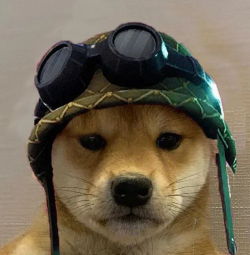 💫 Стикер «cute dogs meme» для Telegram