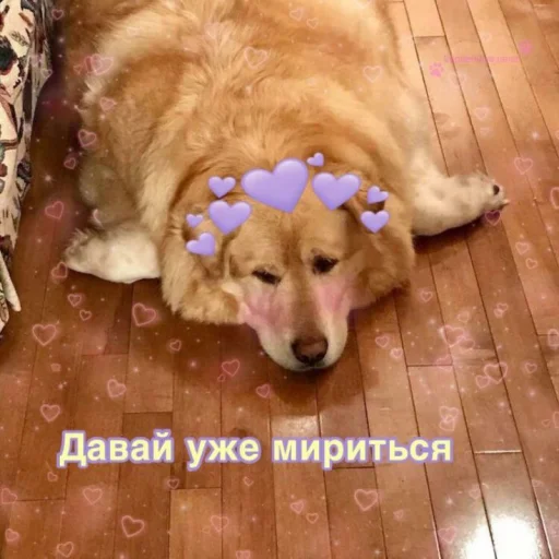 🥺 Стикер «cute dogs meme» для Telegram