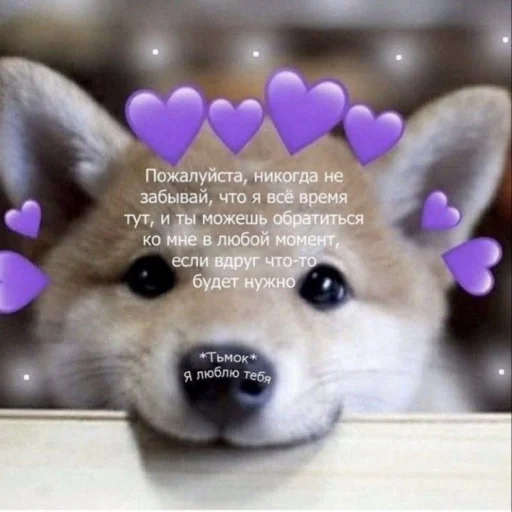 💜 Стикер «cute dogs meme» для Telegram