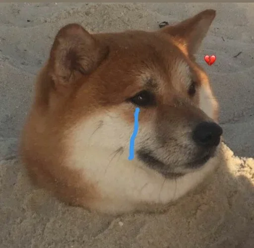 😥 Стикер «cute dogs meme» для Telegram