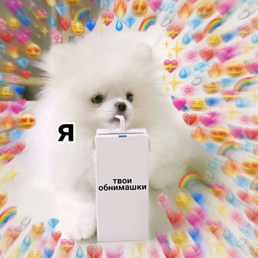 🥤 Стикер «cute dogs meme» для Telegram
