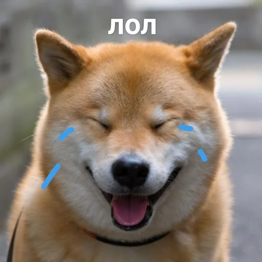 😂 Стикер «cute dogs meme» для Telegram