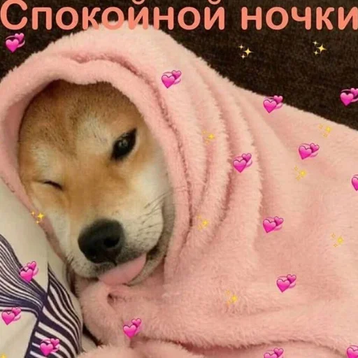 😴 Стикер «cute dogs meme» для Telegram
