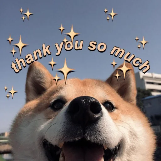 😊 Стикер «cute dogs meme» для Telegram
