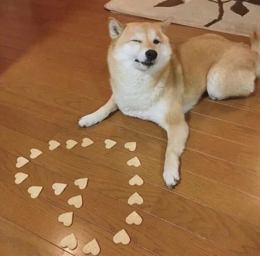 💛 Стикер «cute dogs meme» для Telegram