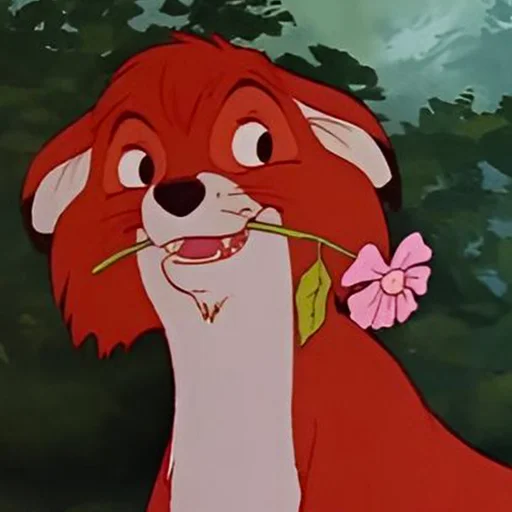 🌸 Стикер «cute foxes» для Telegram