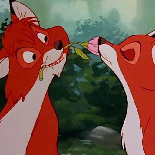 🌸 Стикер «cute foxes» для Telegram