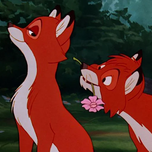 🌸 Стикер «cute foxes» для Telegram