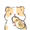 Стикер 57 ʚ Cute Hamsters