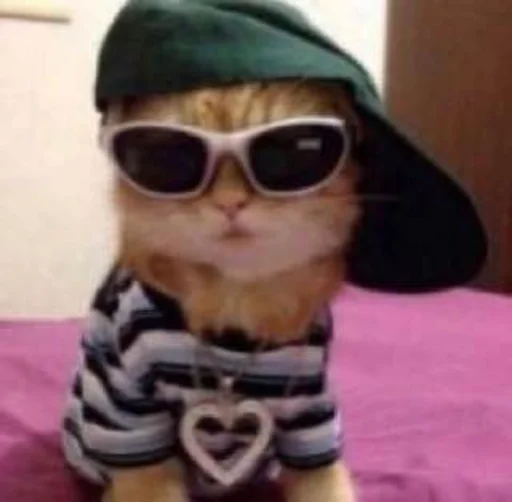 😎 Стикер «pisi» для Telegram