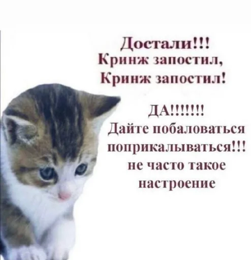 😠 Стикер «pisi» для Telegram