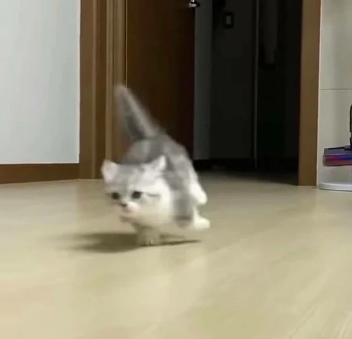 🏃 Стикер «pisi» для Telegram
