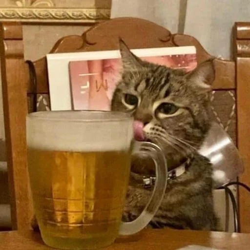 🍺 Стикер «pisi» для Telegram