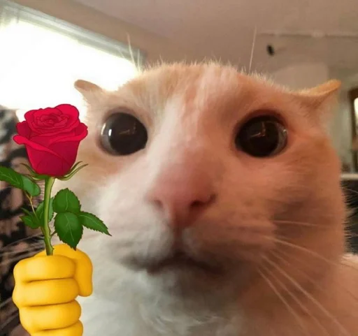 💐 Стикер «pisi» для Telegram