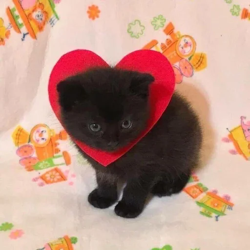 ❤️ Стикер «pisi» для Telegram