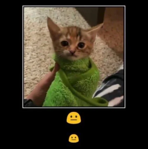 😐 Стикер «pisi» для Telegram