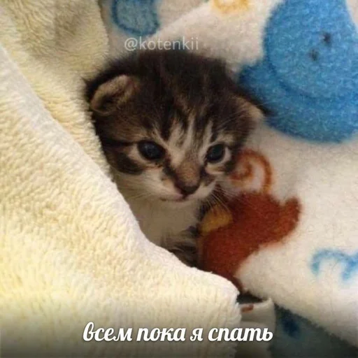 🥱 Стикер «pisi» для Telegram