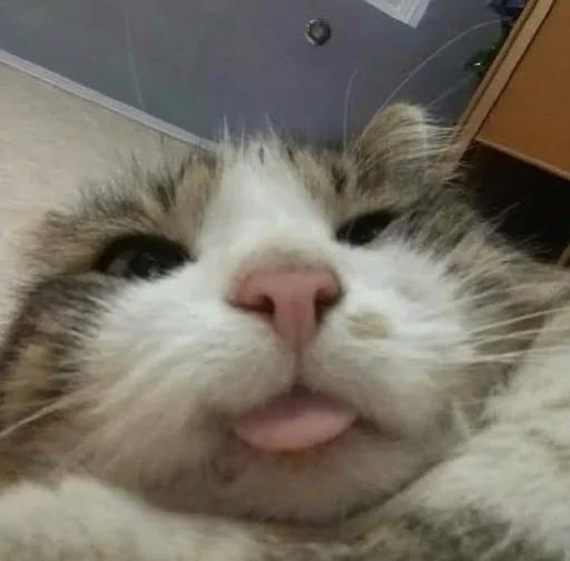😋 Стикер «pisi» для Telegram