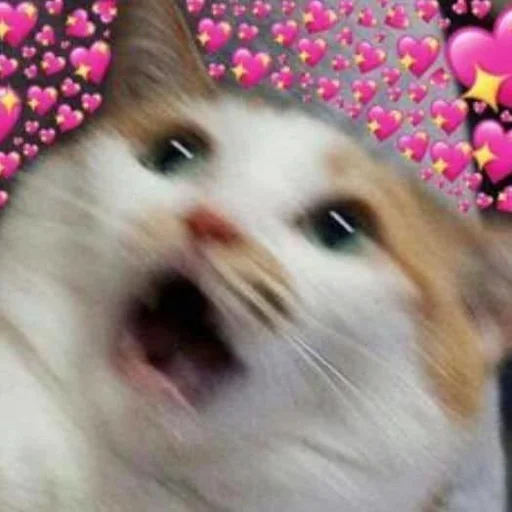 🩹 Стикер «♡︎» для Telegram